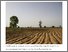 [thumbnail of Climate, Land Use, and Conflict in Northern Africa - Eos.pdf]